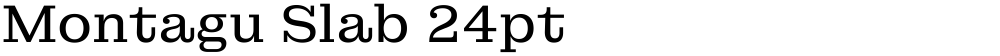 Montagu Slab 24pt