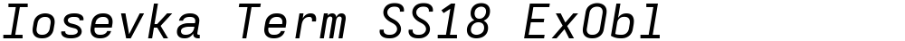 Iosevka Term SS18 ExObl