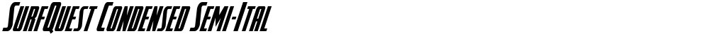 SurfQuest Condensed Semi-Ital