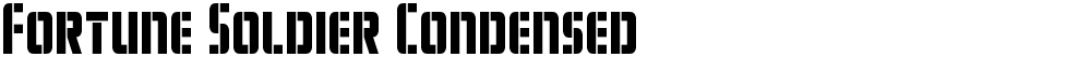 Fortune Soldier Condensed