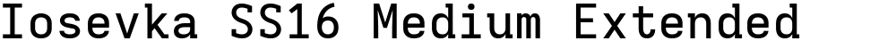 Iosevka SS16 Medium Extended