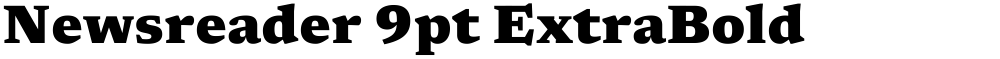 Newsreader 9pt ExtraBold