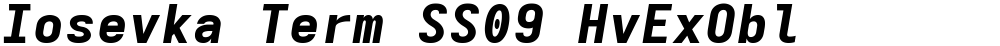 Iosevka Term SS09 HvExObl