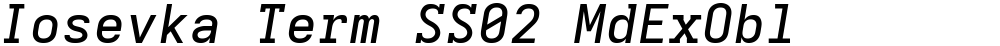 Iosevka Term SS02 MdExObl