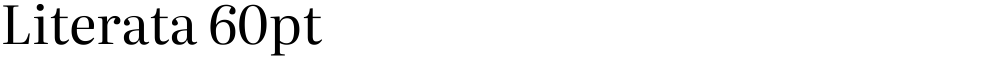 Literata 60pt