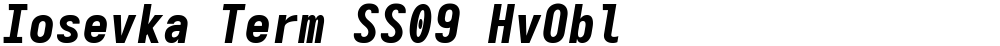 Iosevka Term SS09 HvObl