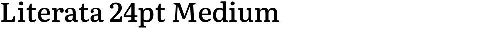 Literata 24pt Medium