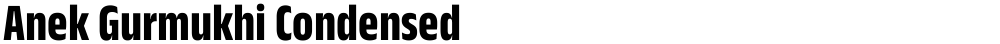 Anek Gurmukhi Condensed