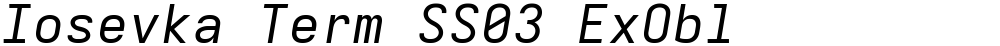 Iosevka Term SS03 ExObl