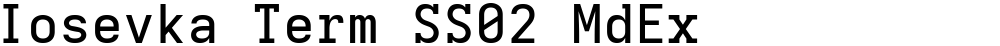 Iosevka Term SS02 MdEx