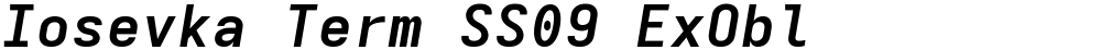 Iosevka Term SS09 ExObl