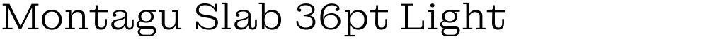 Montagu Slab 36pt Light