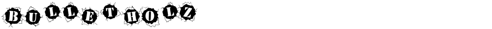 BulletHolz