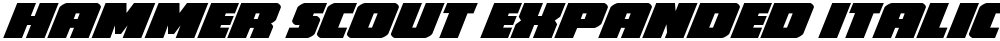 Hammer Scout Expanded Italic
