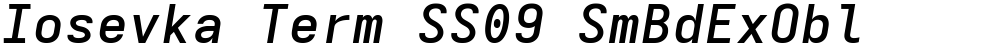 Iosevka Term SS09 SmBdExObl