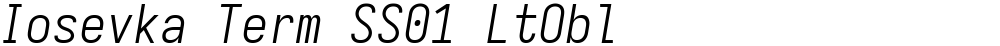 Iosevka Term SS01 LtObl