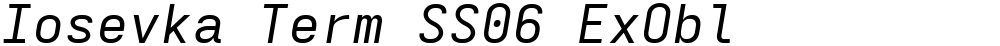 Iosevka Term SS06 ExObl