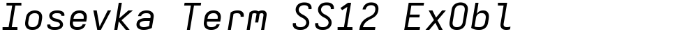 Iosevka Term SS12 ExObl