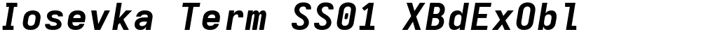 Iosevka Term SS01 XBdExObl