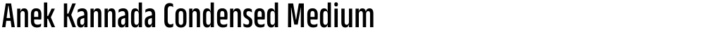 Anek Kannada Condensed Medium