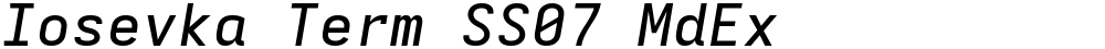 Iosevka Term SS07 MdEx