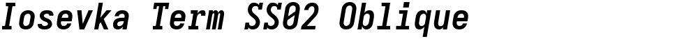 Iosevka Term SS02 Oblique