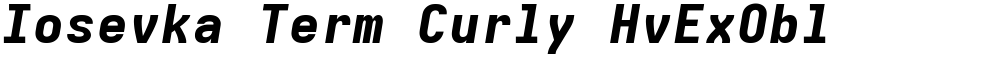 Iosevka Term Curly HvExObl