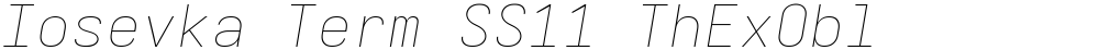 Iosevka Term SS11 ThExObl