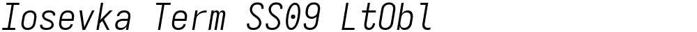 Iosevka Term SS09 LtObl