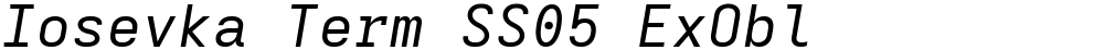 Iosevka Term SS05 ExObl