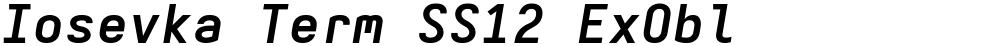 Iosevka Term SS12 ExObl