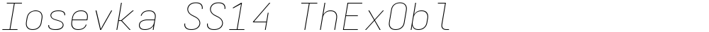 Iosevka SS14 ThExObl