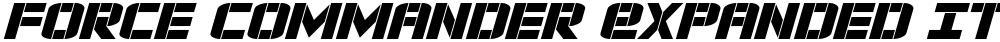 Force Commander Expanded Italic