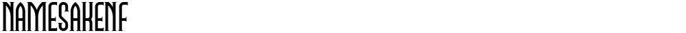 NamesakeNF