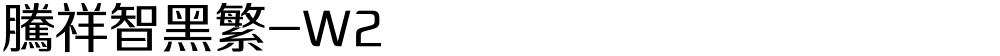 腾祥智黑繁-W2