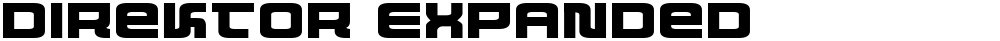 Direktor Expanded