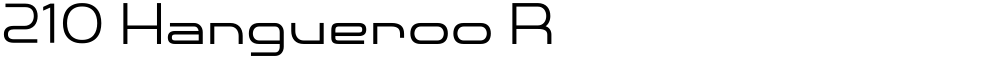 210 Hangueroo R