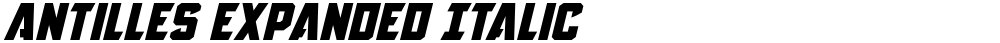 Antilles Expanded Italic