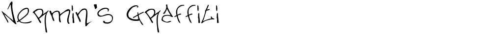 Nermin's Graffiti