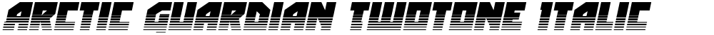 Arctic Guardian Twotone Italic