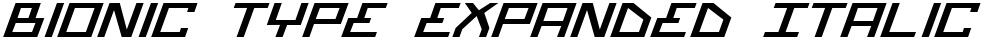 Bionic Type Expanded Italic