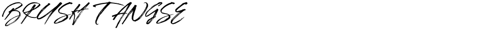 BRUSH TANGSE