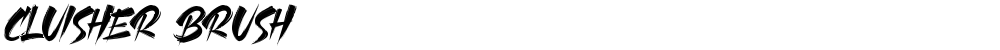 CLUISHER BRUSH