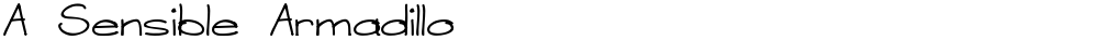 A Sensible Armadillo