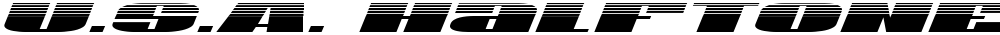 U.S.A. Halftone Italic
