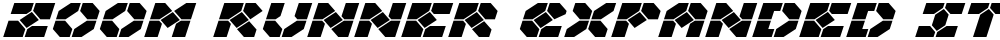Zoom Runner Expanded Italic
