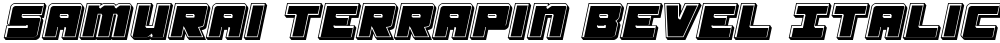Samurai Terrapin Bevel Italic
