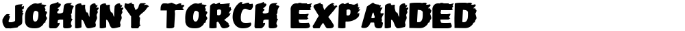 Johnny Torch Expanded