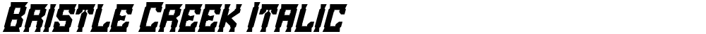 Bristle Creek Italic