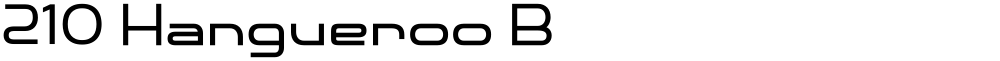 210 Hangueroo B